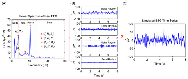 Procedures of the spontaneous EEG simulation based on the MPA EEG model.