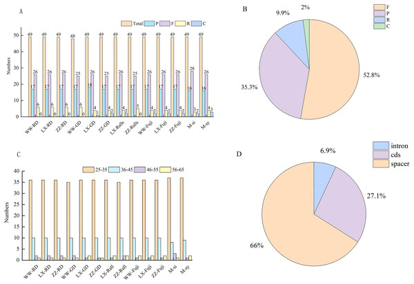 Investigation of repeated sequences in Malus chloroplast genomes.