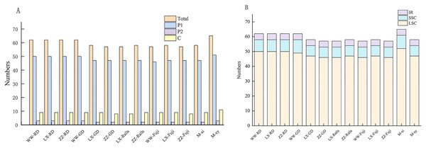 Distribution and numbers of small sequence repeats (SSRs) in the chloroplast genomes of Malus.