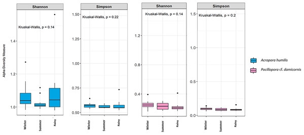 Box plots showing alpha diversity indices of Symbiodiniaceae community from two coral species, Acropora humilis (n = 15) and Pocillopora cf. damicornis (n = 15) in different seasons. Shannon and Simpson indexes reflects the evenness and diversity of Symbiodiniaceae species, respectively.