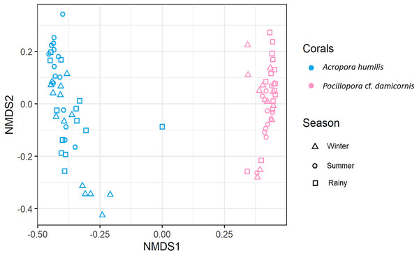 Non-metric multidimensional scaling (nMDS) plotting of the Symbiodiniaceae species composition of two coral species based on of Bray-Curtis dissimilarity indices.