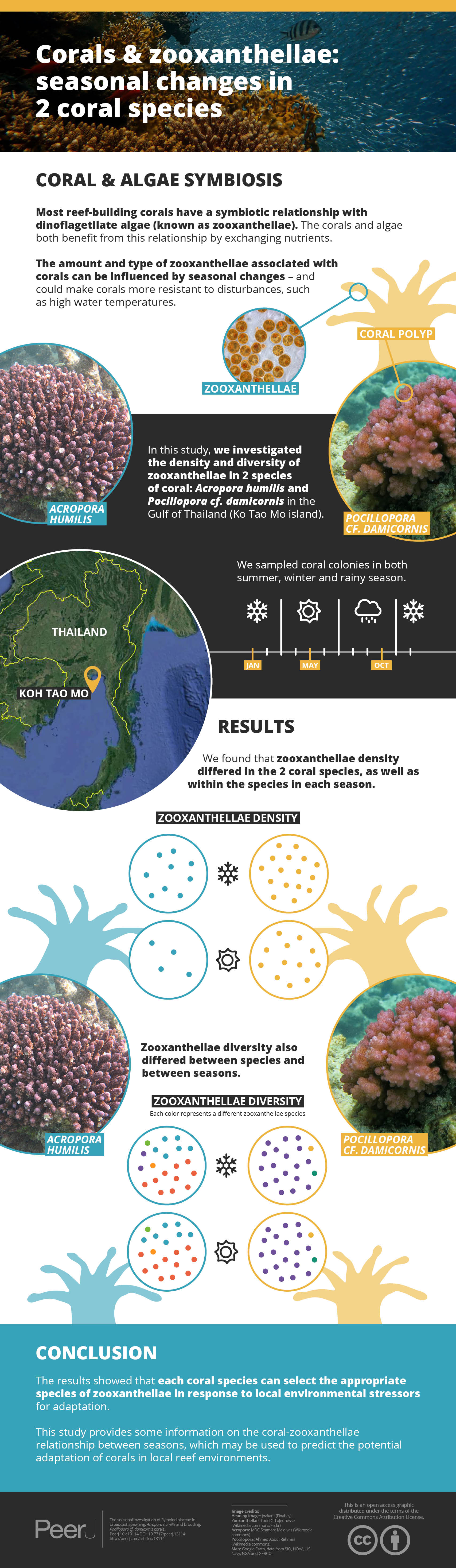 The seasonal investigation of Symbiodiniaceae in broadcast spawning ...