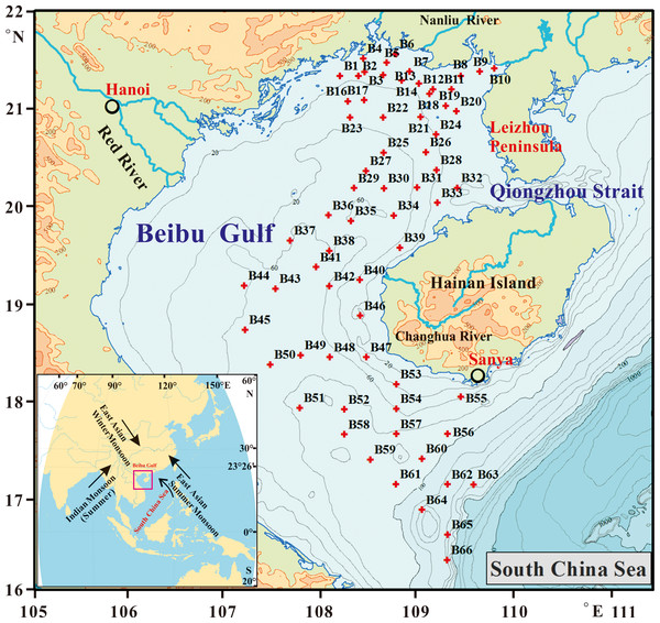  Location of sampling sites in the Beibu Gulf.