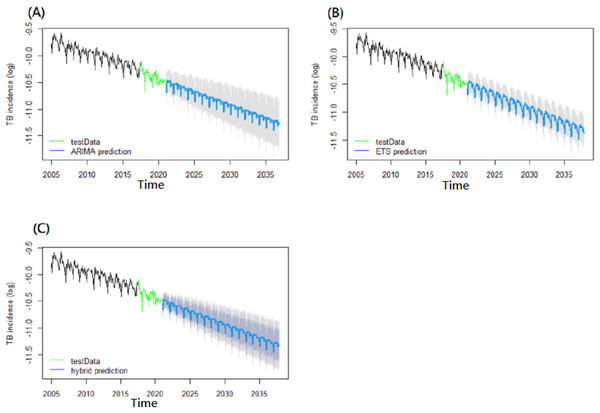 Long-term predictions for tuberculosis incidence rates until 2030.