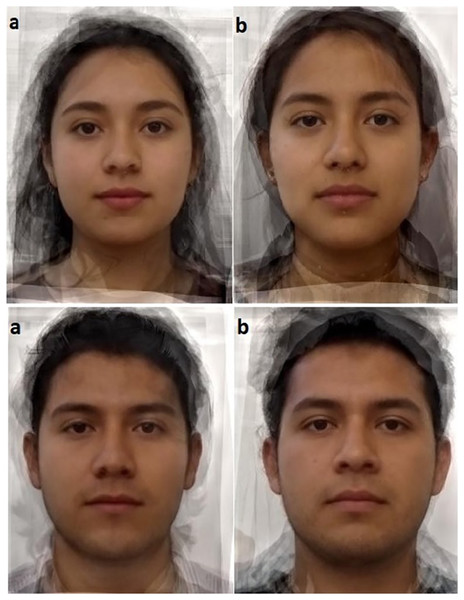 (A) Composite images of ten Toxoplasma-infected women and ten Toxoplasma-infected men, (B) composite images of ten non-infected women and ten non-infected men.