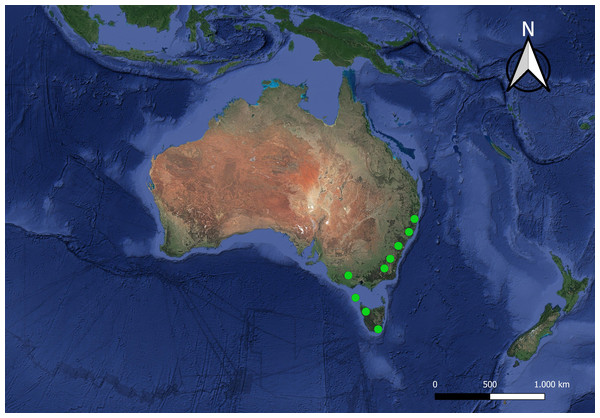 Satellite image of the Australian region.