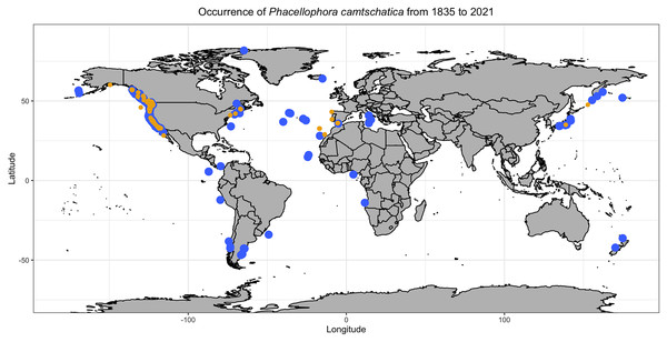 Map representing observations of Phacellophora worldwide.