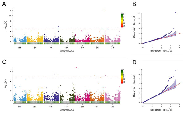 Association analysis for BaYMV disease resistance in the Yangzhou testing site and the Yancheng testing site by FarmCPU model.