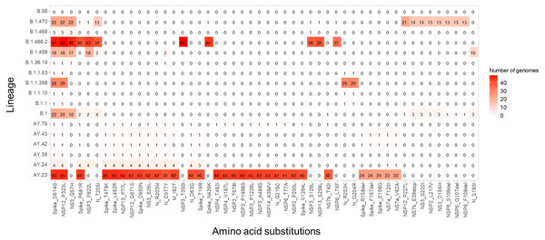 Amino acid substitutions among lineages identified in this study.