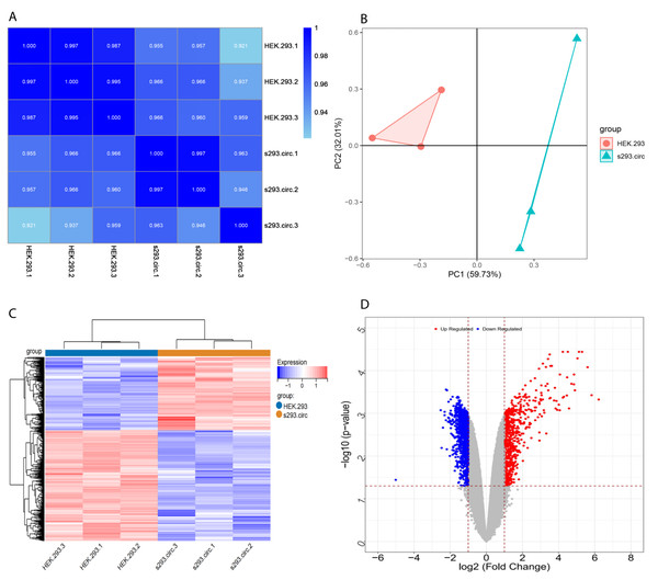 Screening for differentially expressed genes.