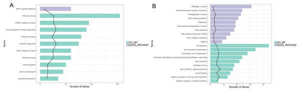 Function analysis of the significant DEGs between circANRIL-OE and control group.