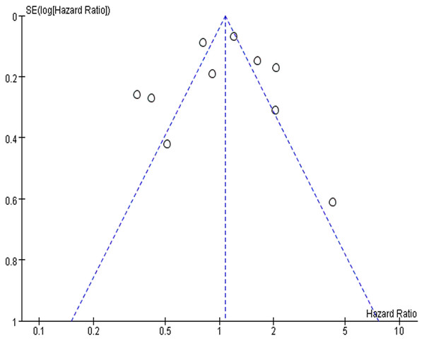 The funnel plot of publication bias.
