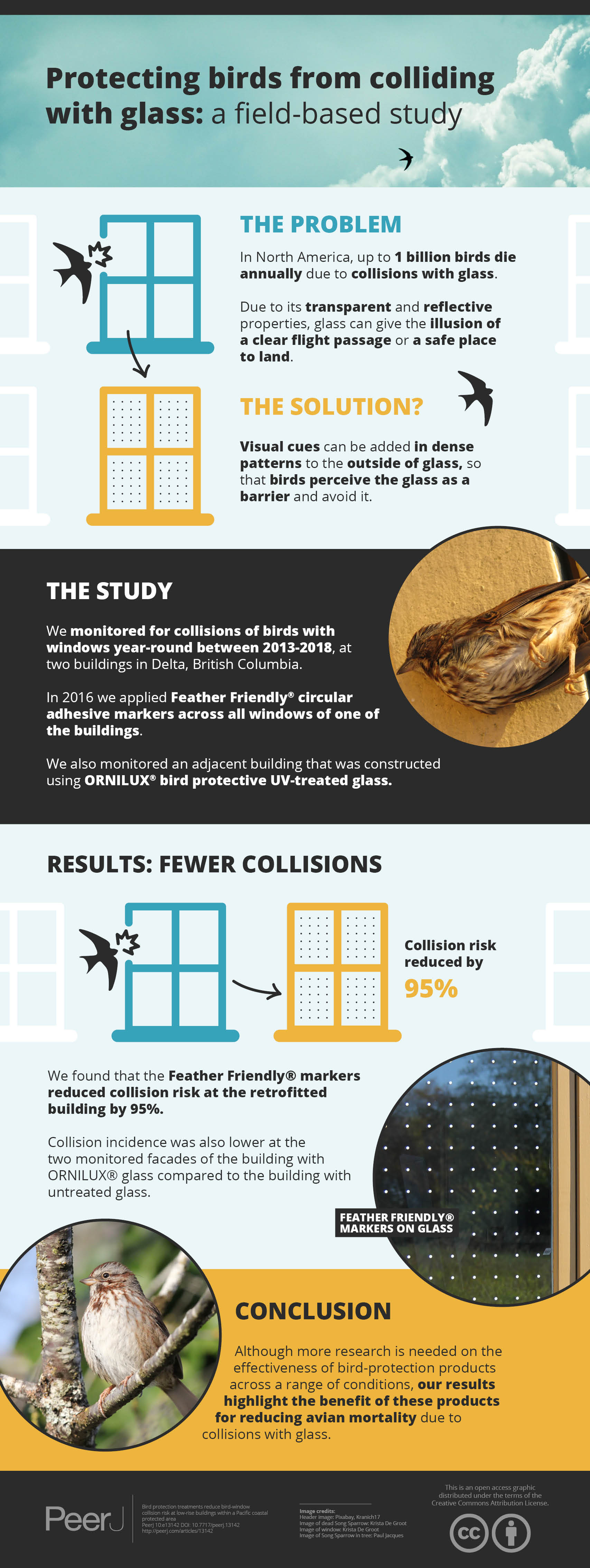 Bird protection treatments reduce birdwindow collision risk at low