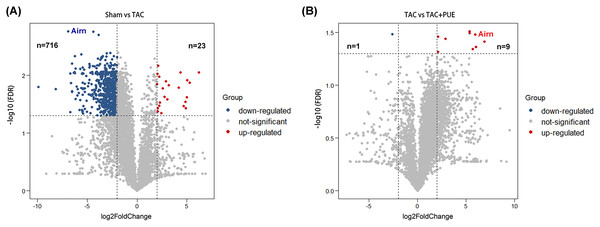 Analysis of lncRNAs expression using RNA-seq data.