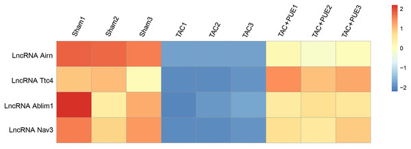 Altered lncRNAs expressions among the groups.