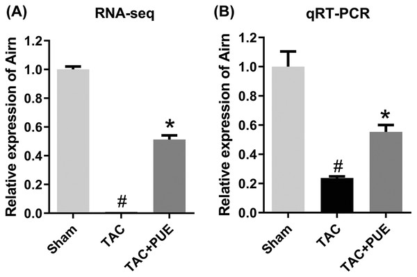 The quantitative real-time PCR (qRT-PCR) validation of differentiation expressed lncRNA in RNA-seq (n = 3 each group).