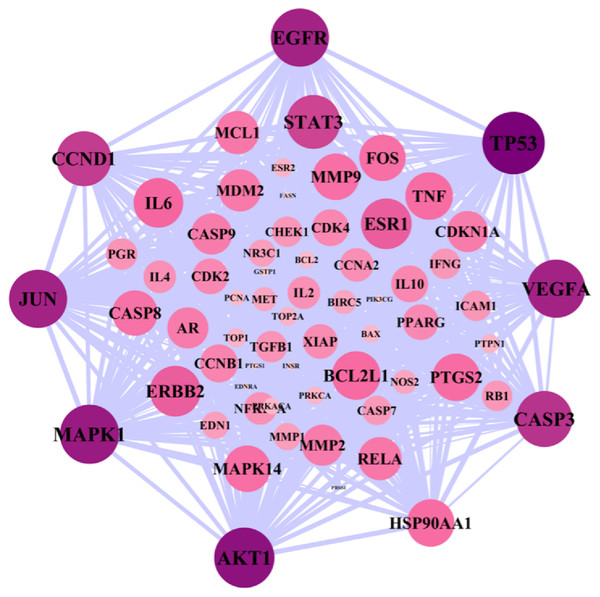 PPI network diagram.