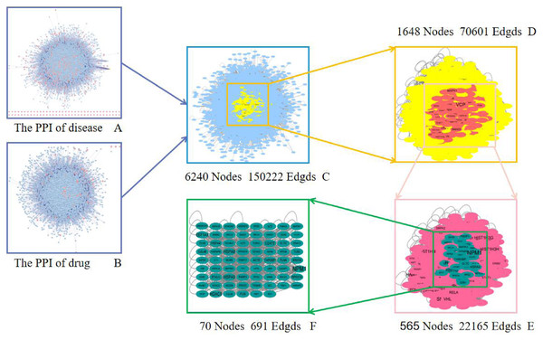 Screening of a core PPI network for Danshen-Guizhi drug pair in the treatment of ovarian cancer.