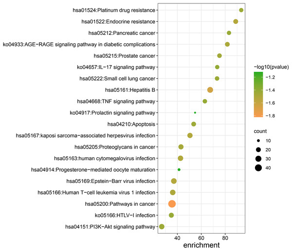 KEGG pathway enrichment analysis of Danshen-Guizhi drug pair on key targets for the treatment of ovarian cancer.