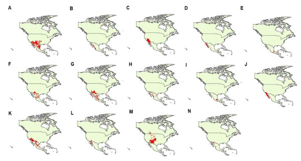 Geographic records of 14 Crotalus species used in this study.