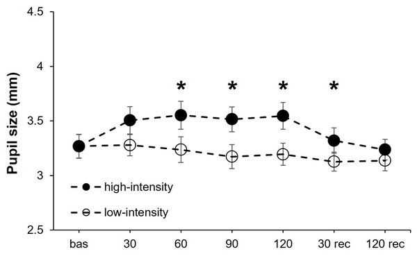 Pupil size changes at both exercise intensities over time.