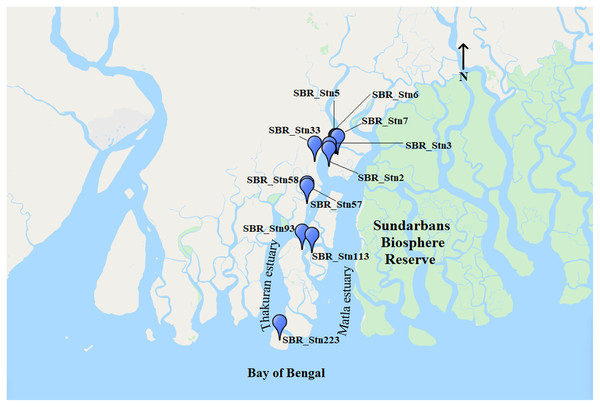 Site map showing the Indian Sundarbans along with the position of Thakuran and Matla estuaries.