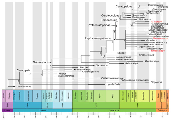 Phylogenetic relationships of Yamaceratops dorngobiensis among ceratopsians using the Arbour & Evans (2019) matrix.