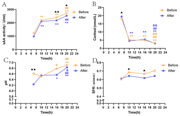 SAA, SFR, pH, and salivary cortisol at four time points before and after citric acid stimulation.