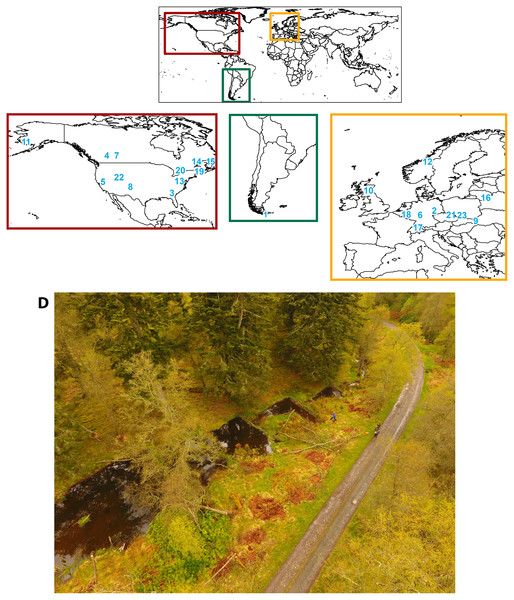 Study locations included in the review and an example of a beaver-altered stream.