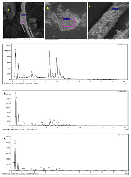 The SEM-EDX imaging and spectrum of microplastic studied.