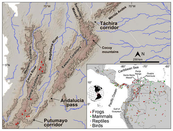 Topography and main drainages in the northern Andes. Red triangles represent Pliocene and younger volcanic edifices.