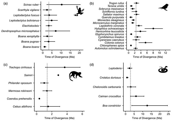 Distribution of divergence time estimates between eastern and western lineages of (A) frogs, (B) birds, (C) mammals and (D) non-avian reptiles, estimated by Bayesian MCMC relaxed-clock phylogenetic analysis of mitochondrial DNA.