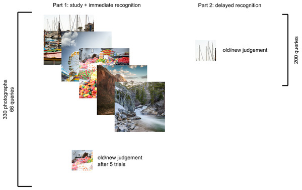 Experimental scheme depicting examples of stimuli in each part.
