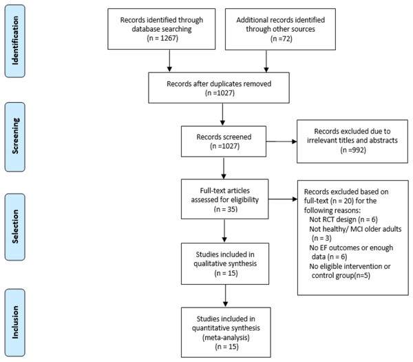 Selection process for the meta-analysis.