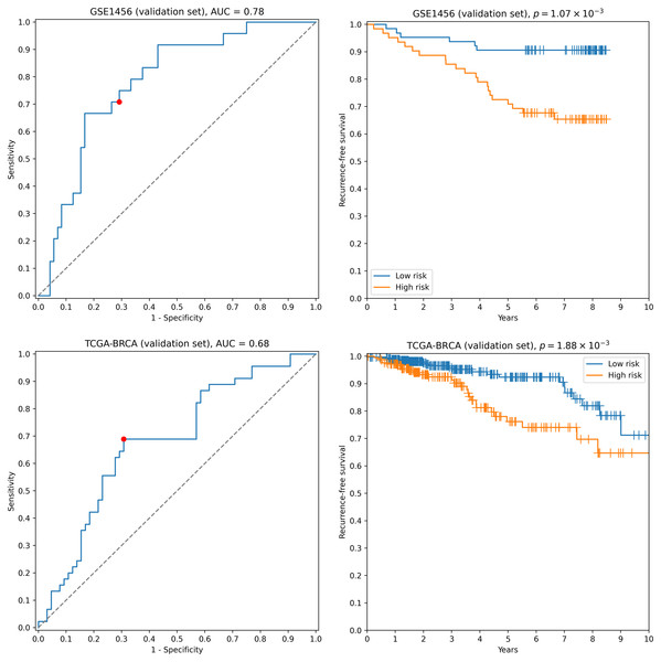 ROC and Kaplan–Meier plots for the ten-gene signature (TRIP13, ZWINT, EPN3, ECHDC2, CX3CR1, STARD13, MB, SLC7A5, ABAT, CCNL2) evaluated on GSE1456 (microarray) and TCGA-BRCA (RNA-seq) datasets.