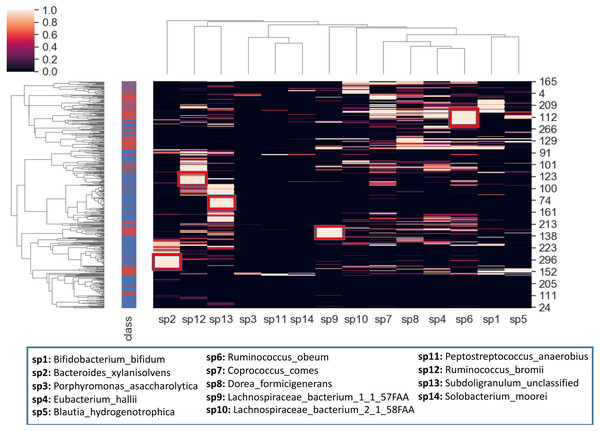 Hierarchical clustering of the samples, based on the relative amounts of the 14 selected species.