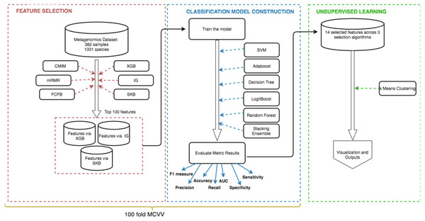 Schematic representation of the methodology.