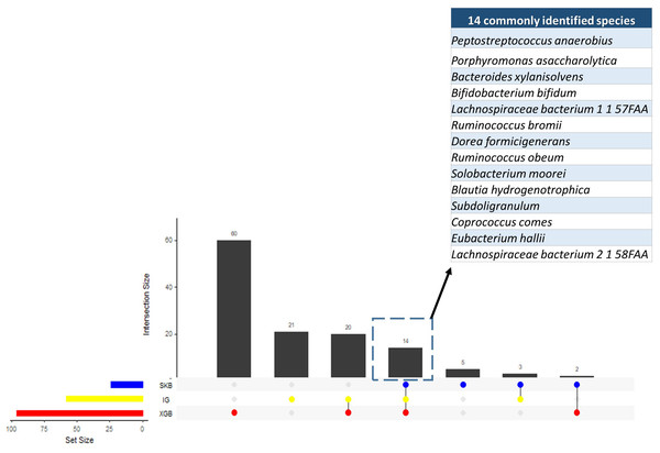 Numbers of selected species using different feature selection algorithms and the numbers of intersecting species among different feature selection methods.