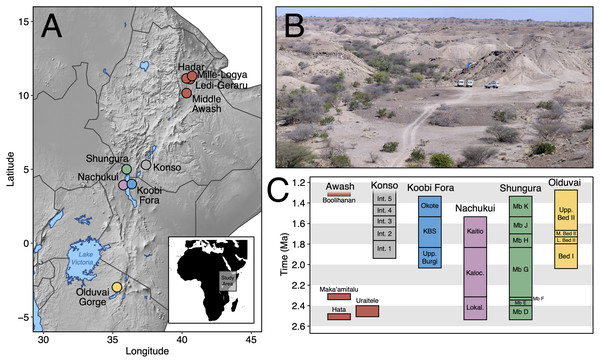 The Maka’amitalu basin and other eastern African sites.