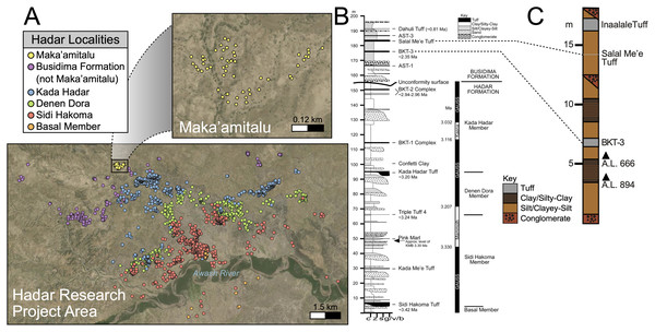 Geologic summary of the Hadar Research Project area.