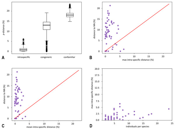 Box plot of uncorrected pairwise genetic distances (p-distances) (A) and results of “Barcode Gap Analysis” (B–D).