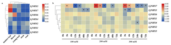 Expression patterns of LjNHX genes.