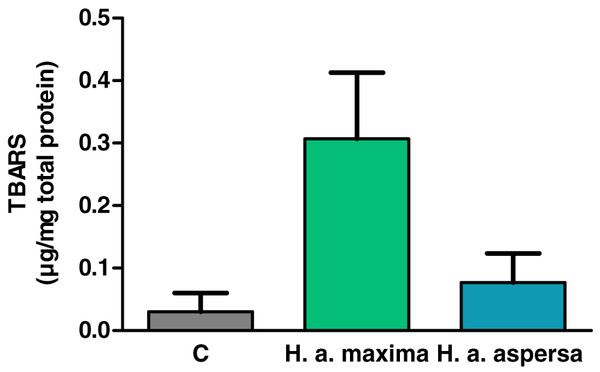 Concentration of thiobarbituric acid reactive substances (TBARS) produced in Caco-2 cells after treatment for 24 h with extracts from eggs of Helix aspersa maxima and Helix aspersa aspersa, at the concentration of 2.5 mg/mL.