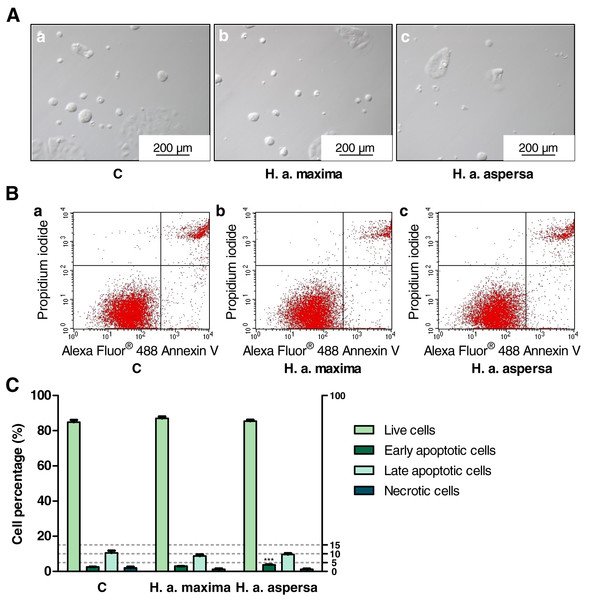 Types of death of Caco-2 cells after treatment for 24 h with extracts from eggs of Helix aspersa maxima and Helix aspersa aspersa, at the concentration of 25 mg/mL.