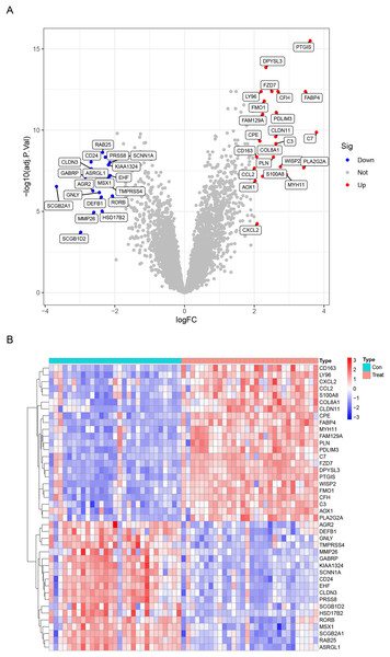 Differentially expressed genes (DEGs) between endometriosis tissues and normal endometrium.