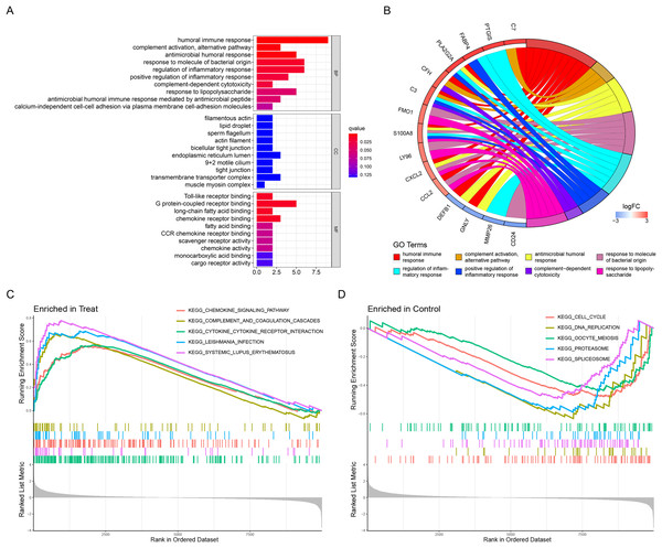 Functional enrichment analyses to identify potential biological processes.