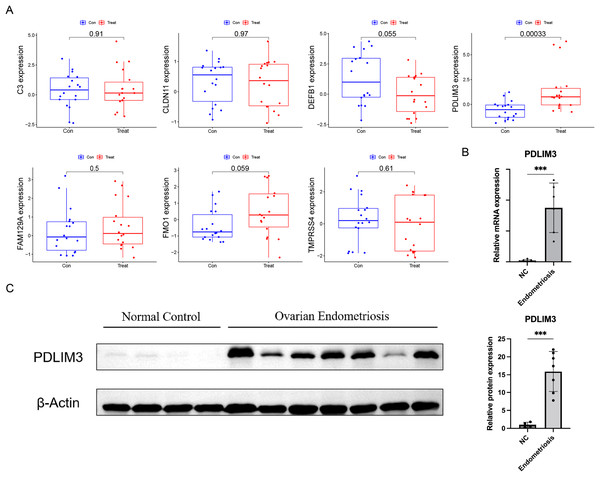 Validation of the expression of diagnostic biomarkers.