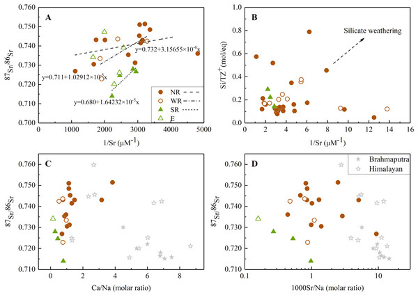 The relationships between Sr isotope and elemental ratios.