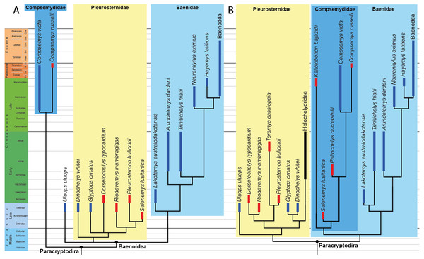 Phylogenetic hypotheses of paracryptodiran relationships.