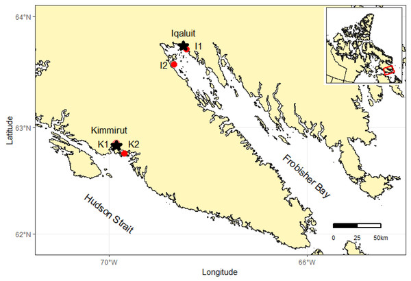 Map of southern Baffin Island showing the locations of two study communities (i.e., Iqaluit and Kimmirut), and sites where M. truncata were collected near each community (I1, I2, K1, K2).